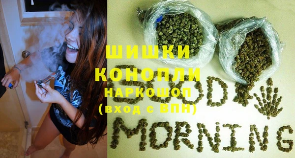 Альфа ПВП Бородино
