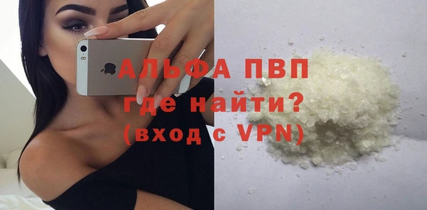Альфа ПВП Бородино