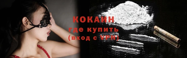 Альфа ПВП Бородино