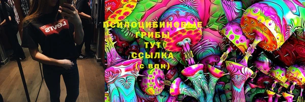 Альфа ПВП Бородино
