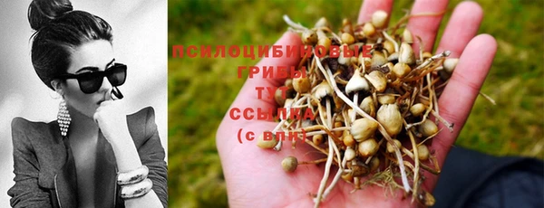 Альфа ПВП Бородино